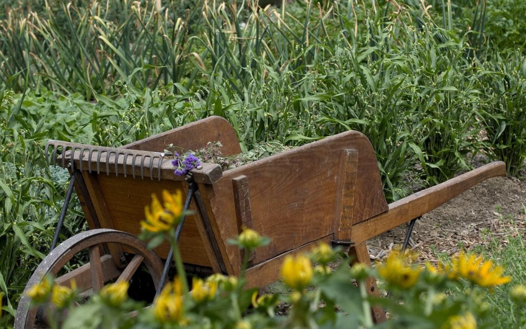 Association Les Jardins de Vos Couleurs : parcelles de 50m² disponibles